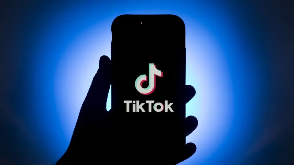 How to Promote a Blog on TikTok Free Method