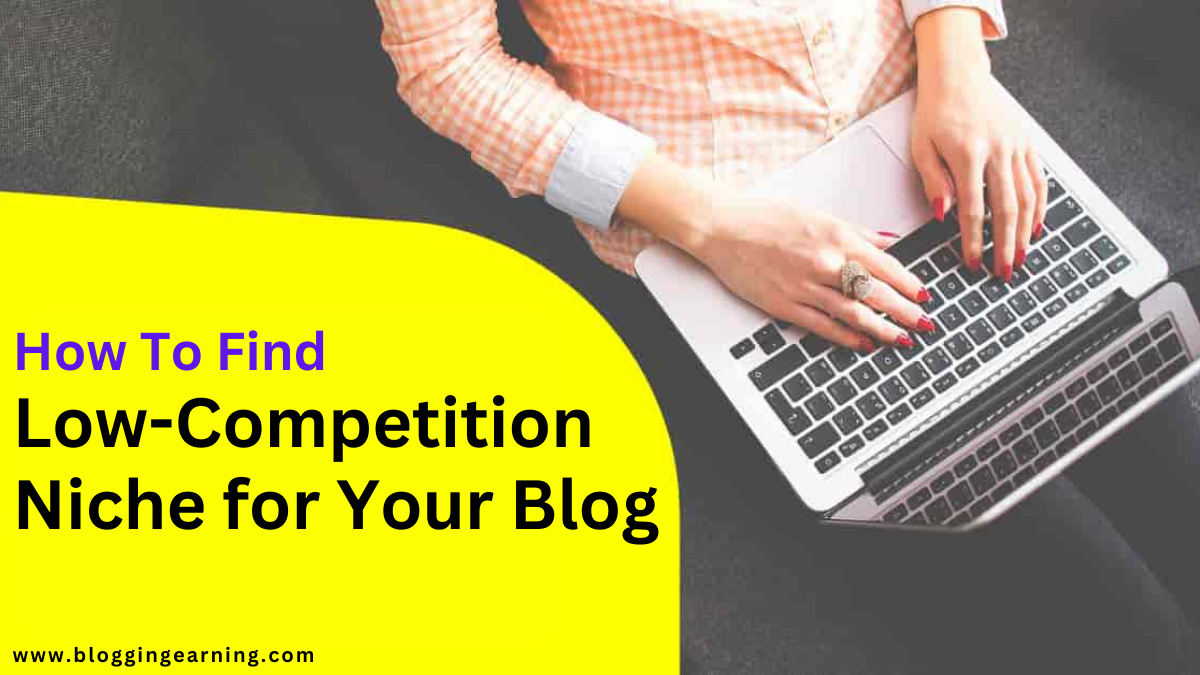 Low-Competition Niche for Your Blog